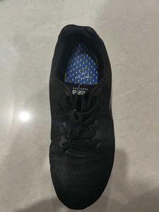Skechers Shoes