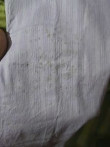 Light Purple Striped Kurta