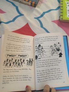 Diary of a Wimpy Kid: The Meltdown