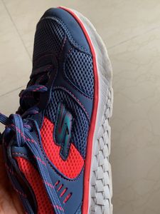 Sketchers Brand Shoes In Very Good Condition