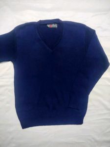Navy Blue V-Neck Sweater