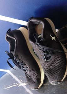 Sparx Black Running Shoes