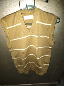 Men's Mustard Striped V-Neck Sweater Vest