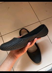 Black Bellies Unused