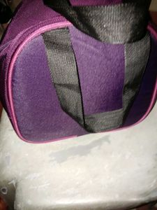 Disney Princess Lunch Bag