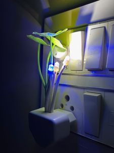 Novelty Plug-in Night Light