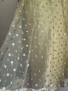 Sparkling Yellow Net Skirt