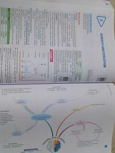 Class 10 Science Cbse Question Bank
