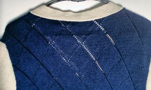 Korean Style Women V-neck Knit Cardigan