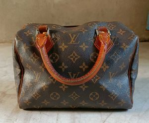 Louis Vuitton Speedy Handbag Monogram