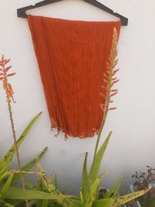 Colorful Dupatta Set (Set of 4)
