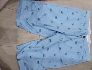 Light Blue Palm Tree Print Shorts