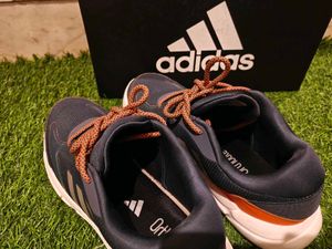 Adidas shoes for men