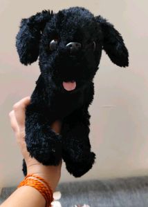 Cute Black Dog Plush Toy