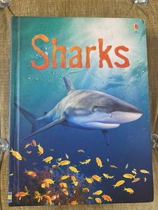 Children's Educational Books planet earth
