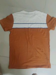 tommy Hilfiger t shirt