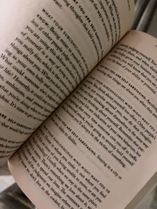The Mountain Is You Book
