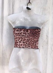 Leopard Print Tube Top with Black Shorts