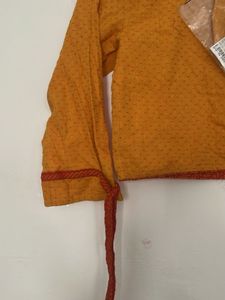 Fabindia Orange Ethnic Blouse