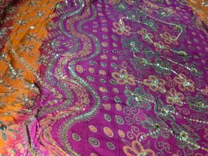 Vibrant Saree with Sequins