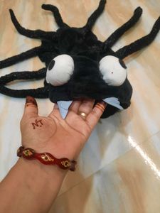 Spider Pet Costume for Halloween