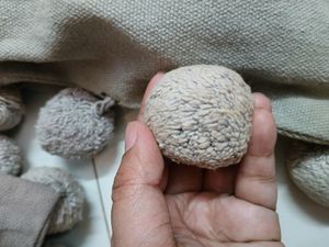 Oolen Ball Cution Cover 5.PC. Free 2 Side Pillows