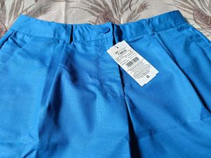 Bright Blue SHEIN Shorts