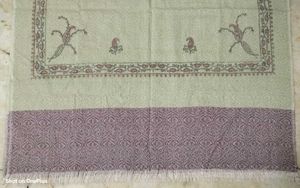 Elegant Pashmina Shawl