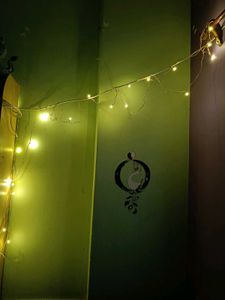 Vintage Fairy/Tuni Lights