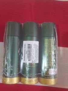 Denver Deodorant Body Spray Pack of 3
