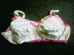 2 Cotton Bra -Plus Size
