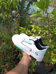 MEN FOOTWEAR
