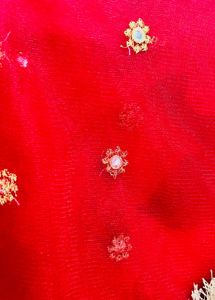 Stunning Red Embellished Dupatta