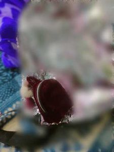 Velvet Mini Backpack