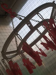 Hanging Clothesline with Clips