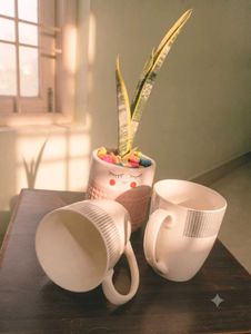 Asthetic Ceramic Coffee Mug✨