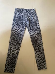 Leopard Print Leggings & panty
