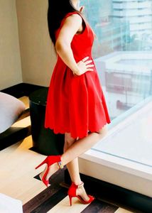 SHEIN Double V Neck Red Dress