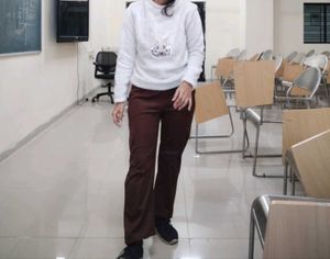 Brown Casual Trousers