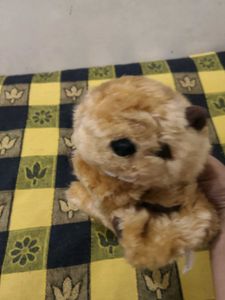 Plush Stuffed Animal Toy