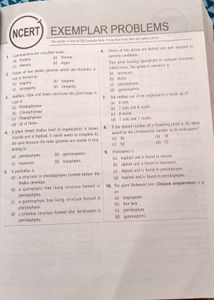MTG fingertips bio