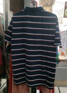 Striped Polo Shirt