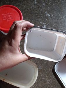 Combo Of Empty Container