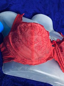 Chantelle Branded Red Lace Bra