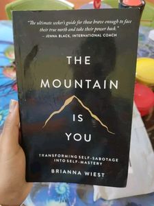 THE MOUNTAIN IS YOU BY BRIANNA WIEST