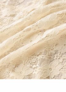 Sheer Lace V-Neck Top
