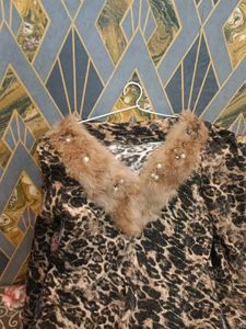 Animal Print Dress