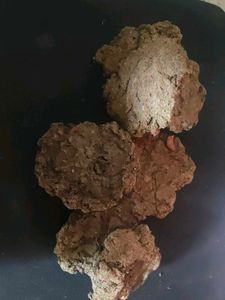 Best Cow Dung Cake