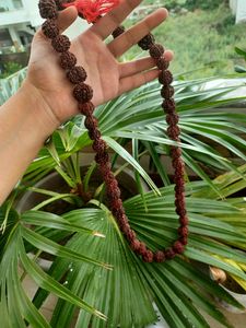 Rudraksha Mala