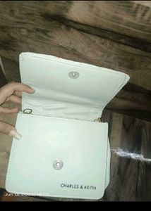 Charles &amp; Keith Bag